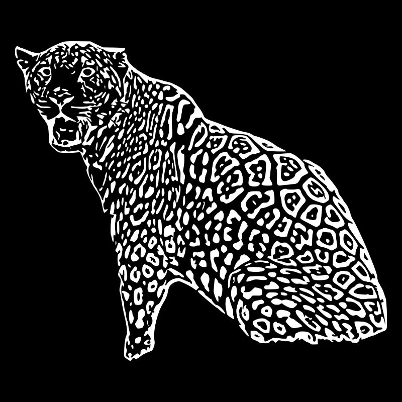 Noir léopard