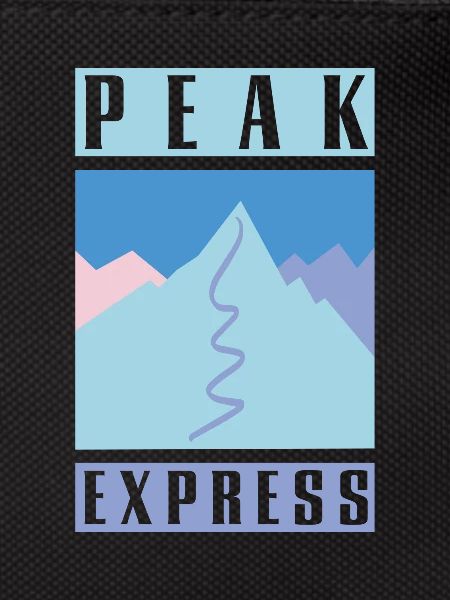 pic express