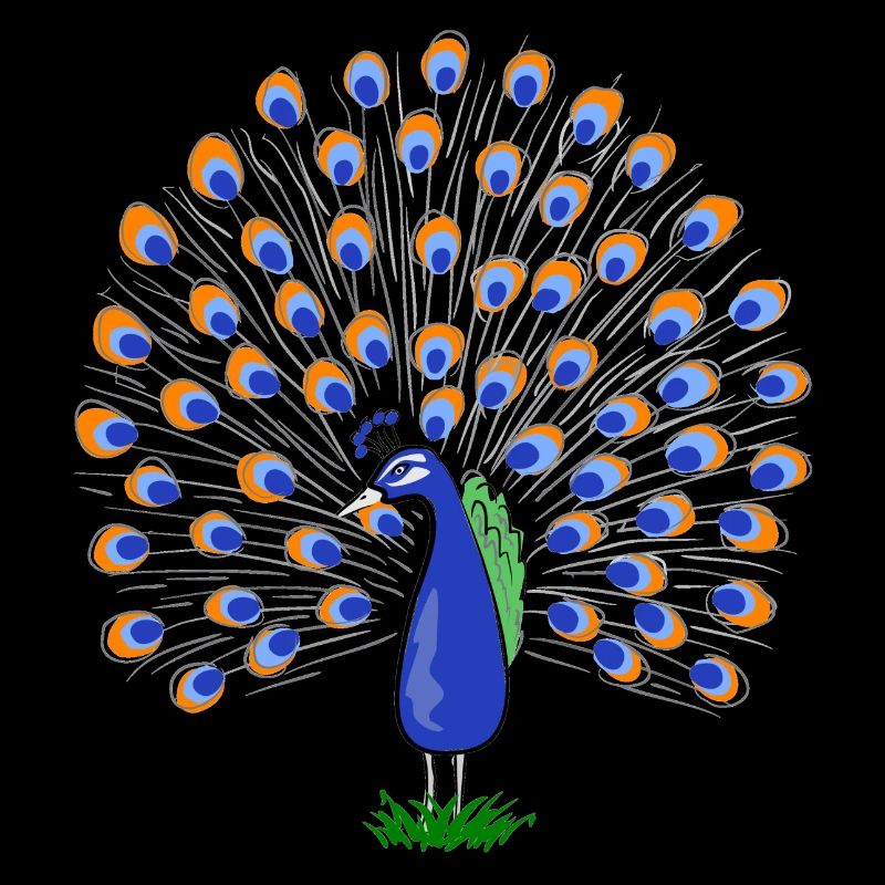 Illustration de plume de paon colorée