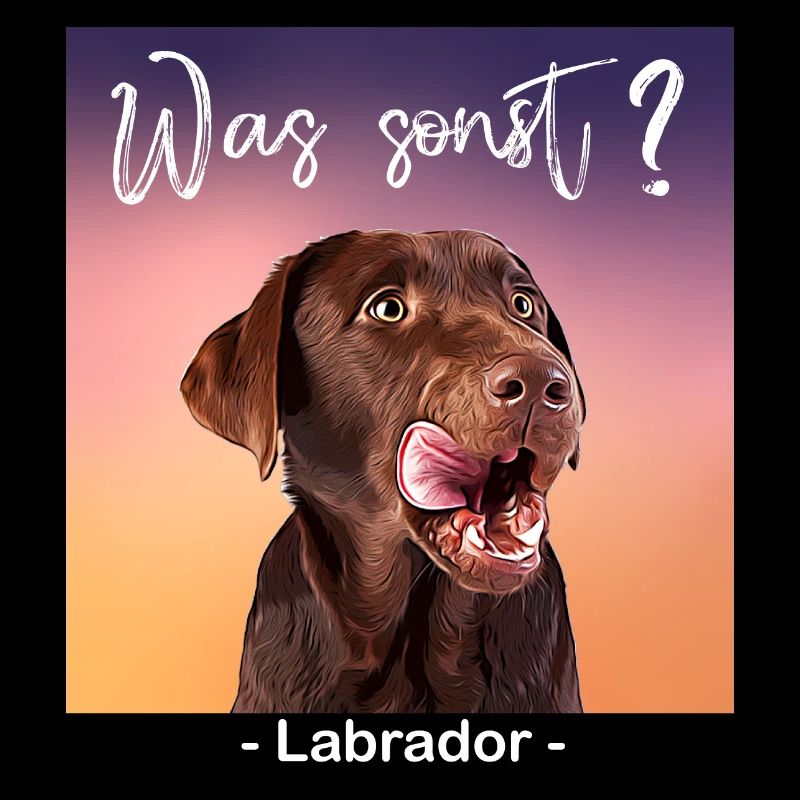 Was sonst brauner Labrador