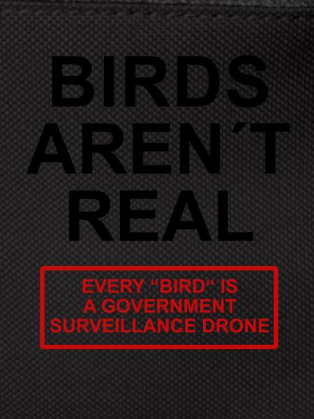 Birds Aren't Real