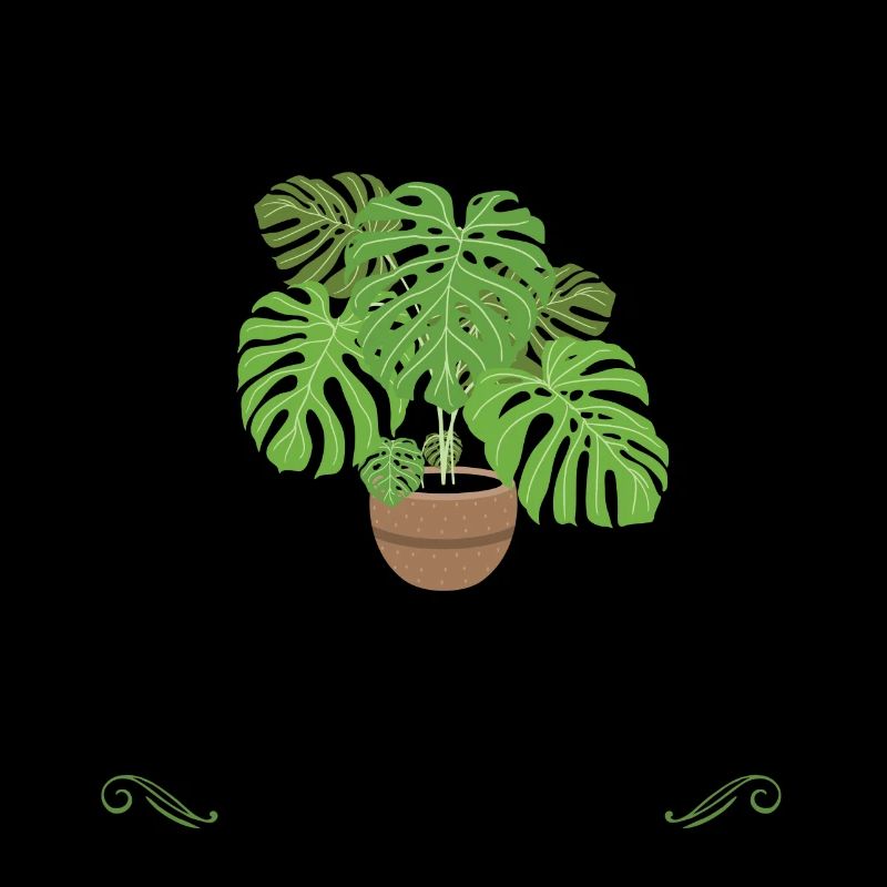 Monstera