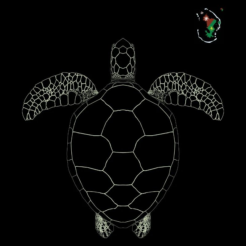 Maore - tortue de mayotte