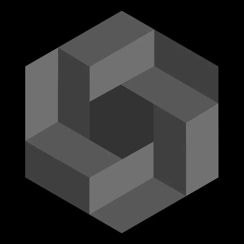 Geometric Illusion Pattern Black White