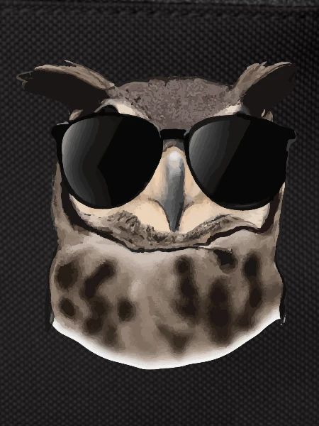 Eule mit Sonnenbrille Geschenkidee