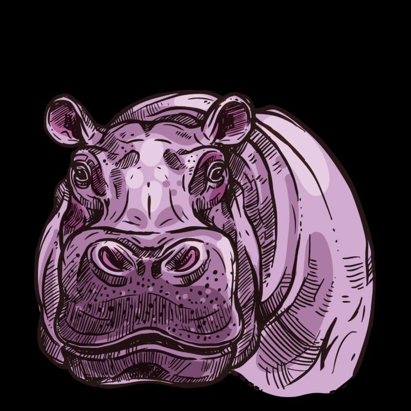 Hippo