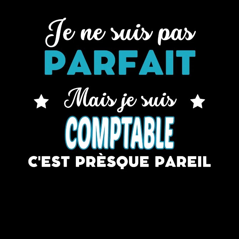 je ne suis pas parfait humour COMPTABLE