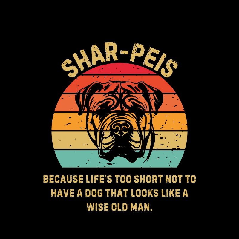 Shar Pei Coucher de soleil rétro