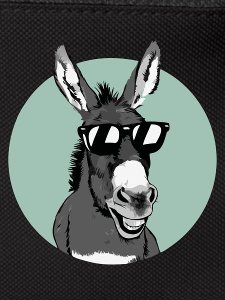 Donkey Donkey Mule Muli