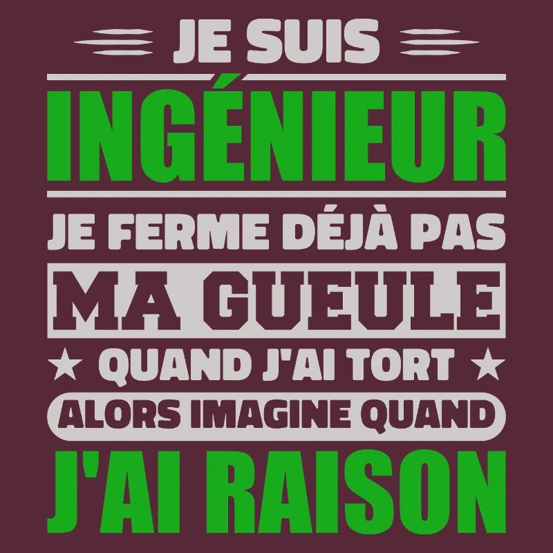 Engineer Humor Gift Student Engineer