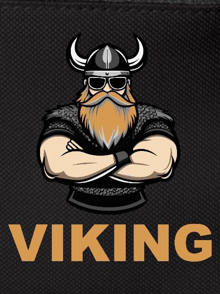 wikinger warrior 1