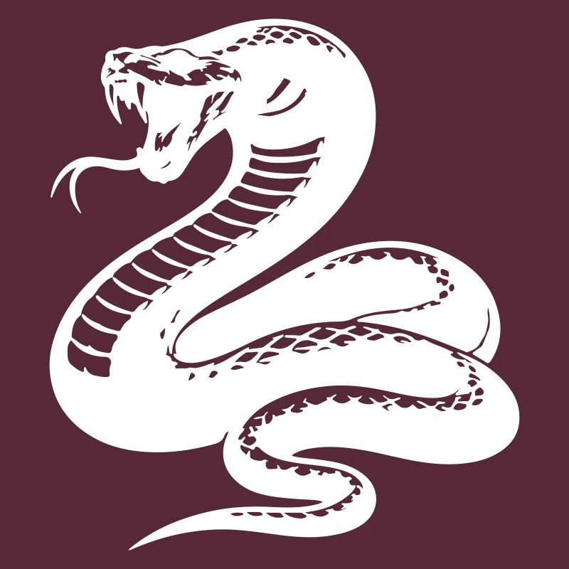 Snake Python Silhouette
