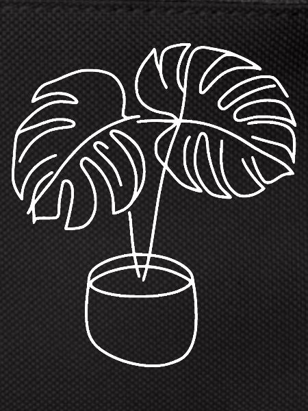 Monstera in pot white