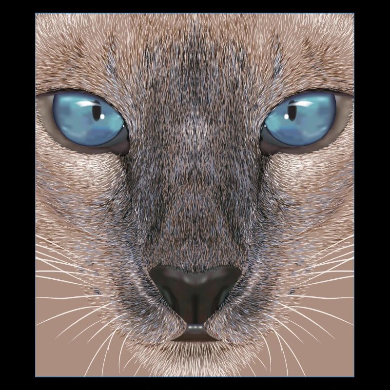 Siamkatze