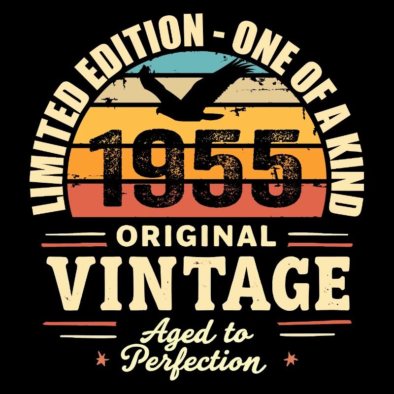 1955 Geburtstagsgeschenk Vintage 1955 Retro 1955