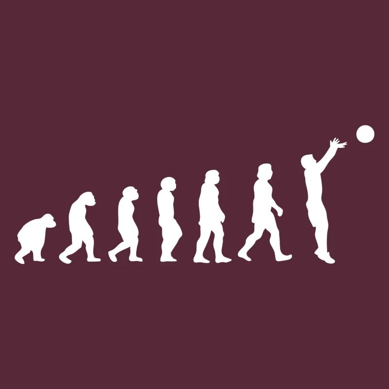 Basket évolution