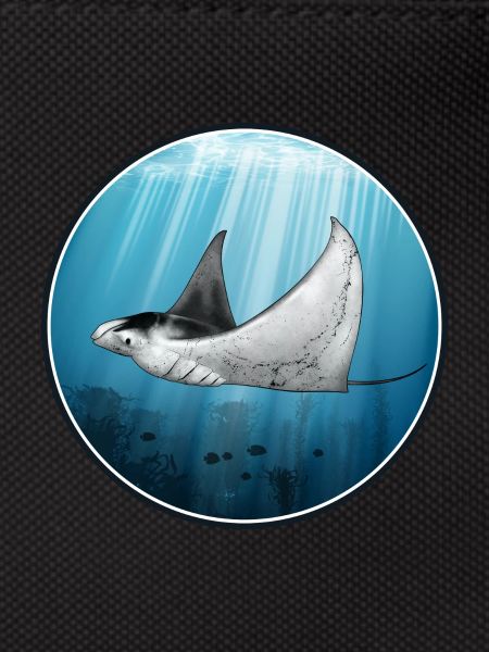 manta ray