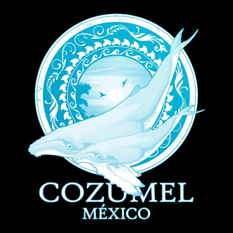 Buckelwale Cozumel Mexiko
