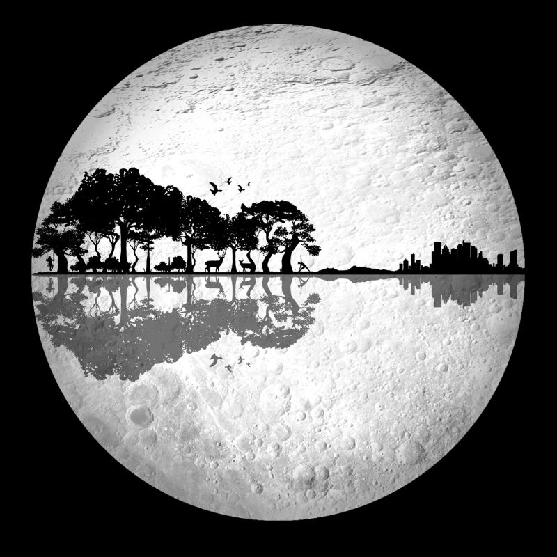 Guitar Park on the Moon