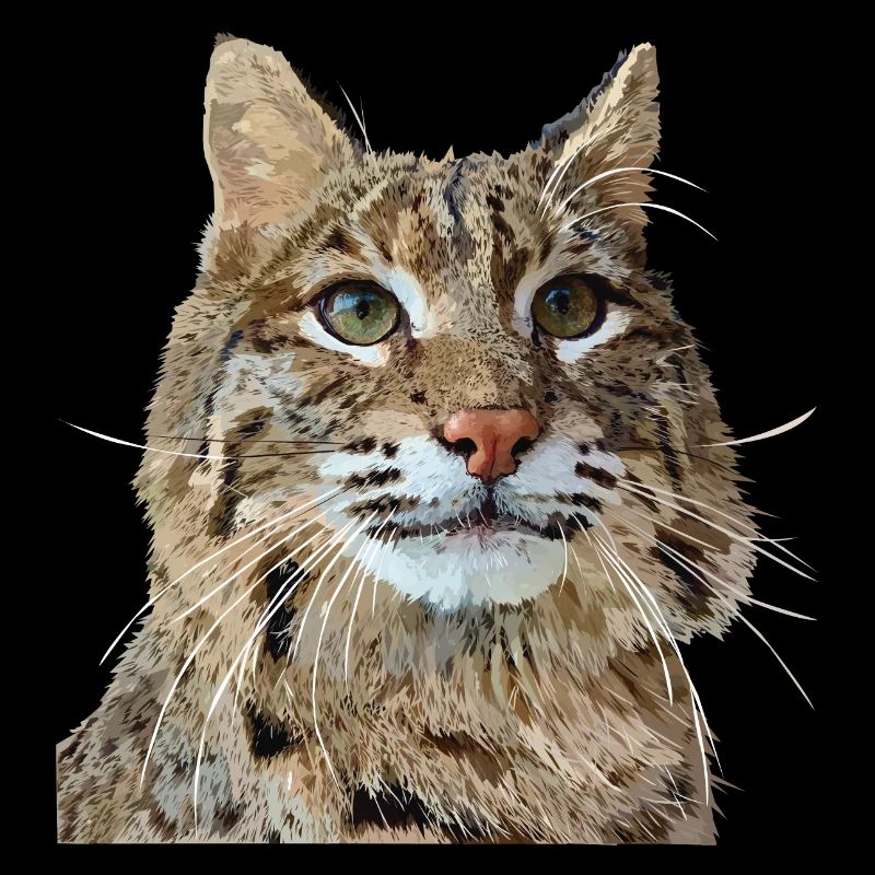 Luchs
