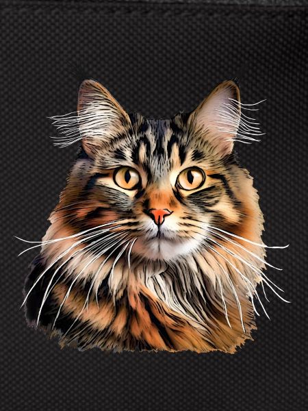 Norwegian cat