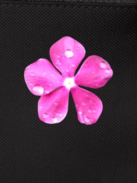 Hippie fleur