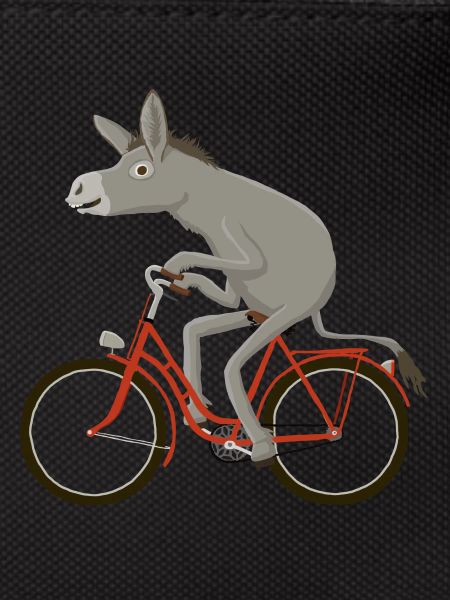 Bikes red