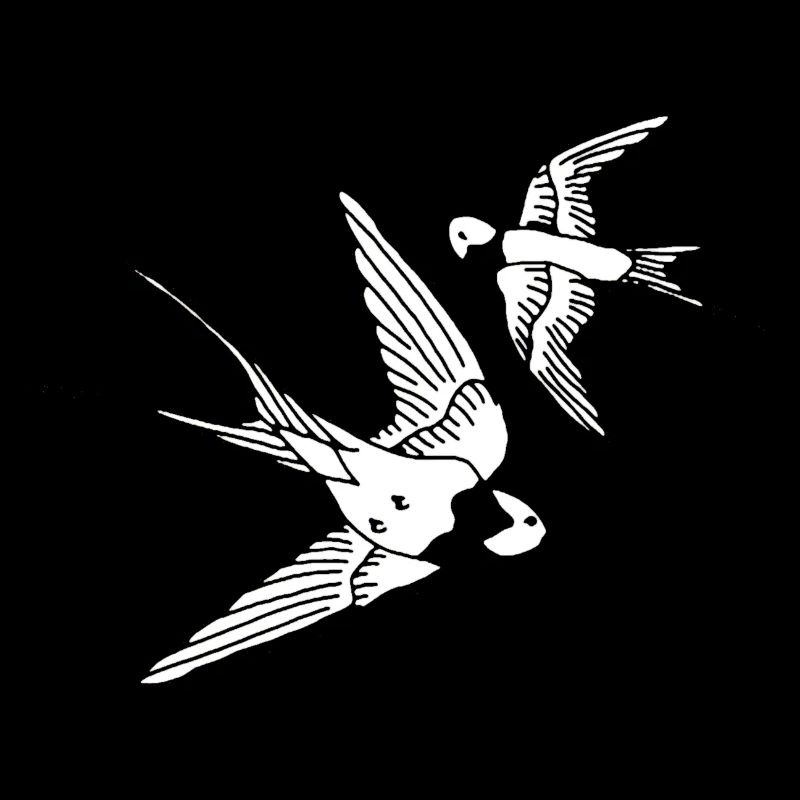 Vögel