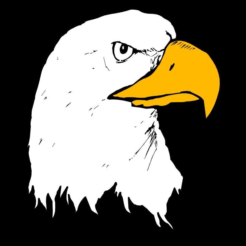 eagle eagle buzzard falcon habicht hawk falcon17