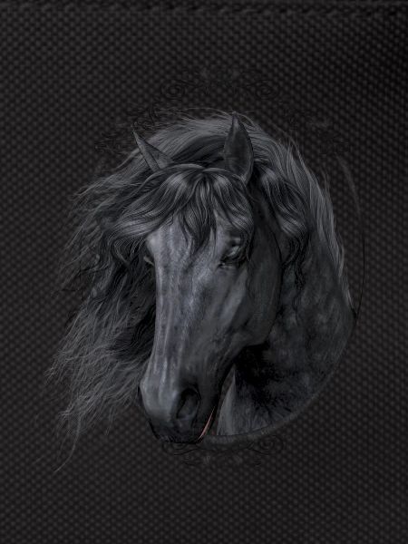 Black Beauty