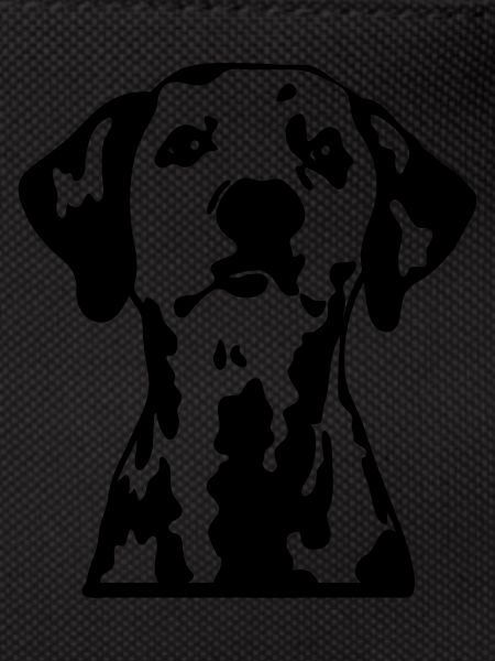 dalmation