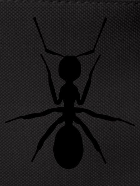 ANT