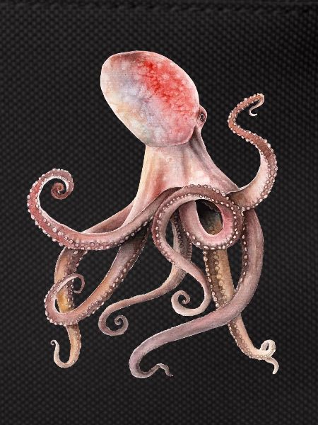 Krake