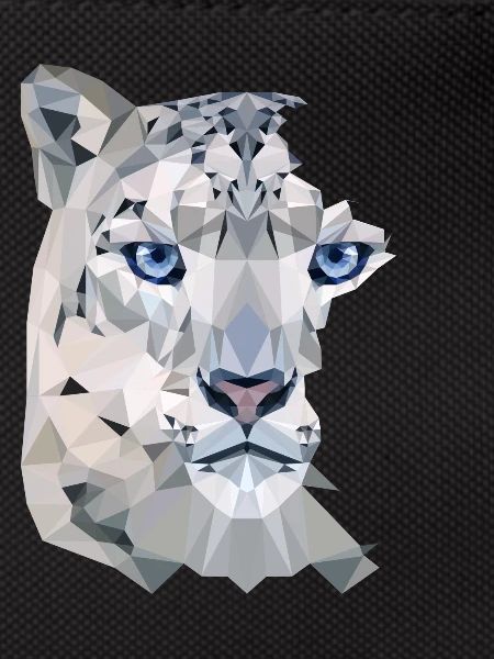 Snow Leopard Split