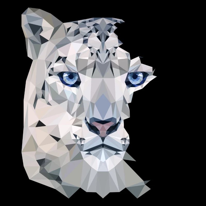Snow Leopard Split