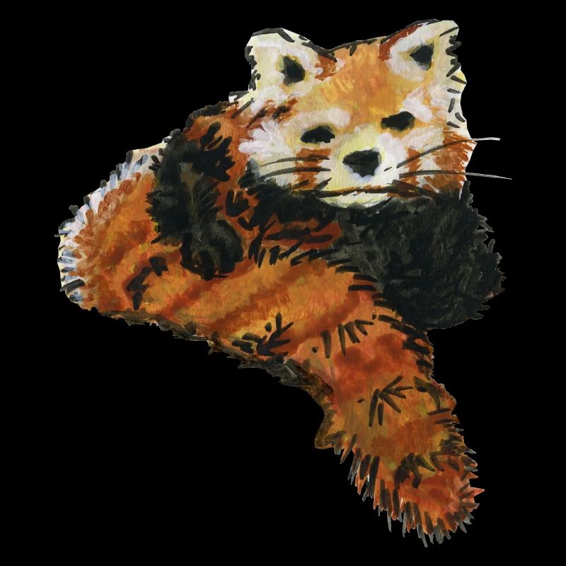 panda roux - red Panda - roter kleiner der rote