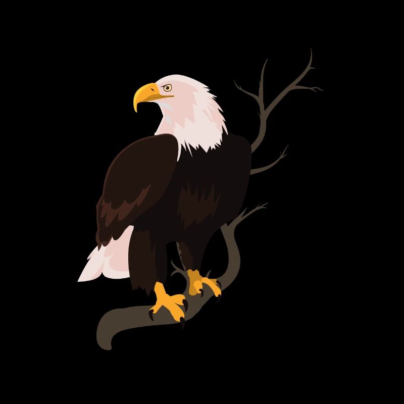 White-headed Eagle Bird Hawk Hawk Buzzard Nature