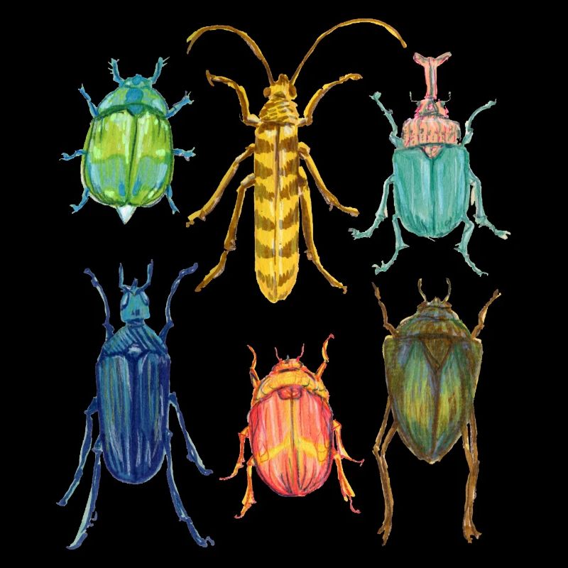 Bunte Kaefer Sammlung