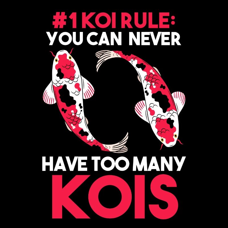 Kois Koi Koi poisson cadeau