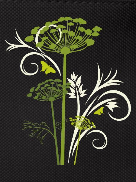 Silhouette of blooming fennel