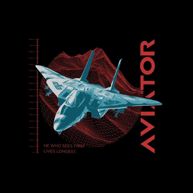 Aviator F-14 Tomcat