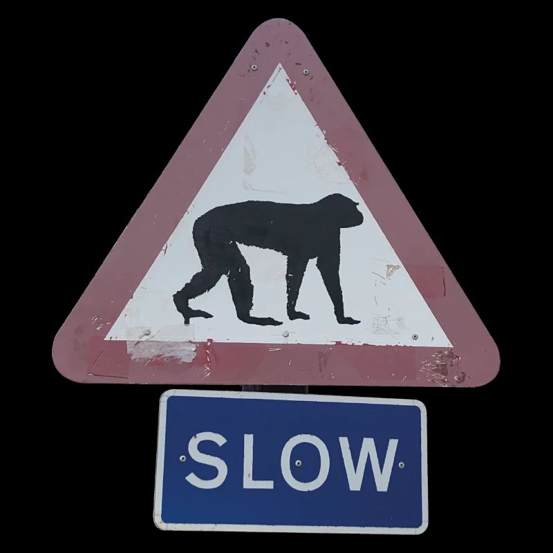 Schild Affe fbg