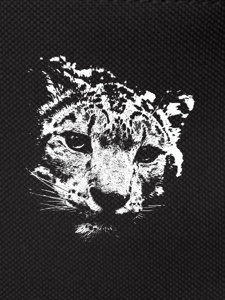 Snow leopard