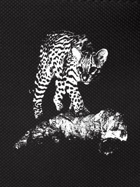 Ocelot