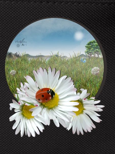 Summer meadow