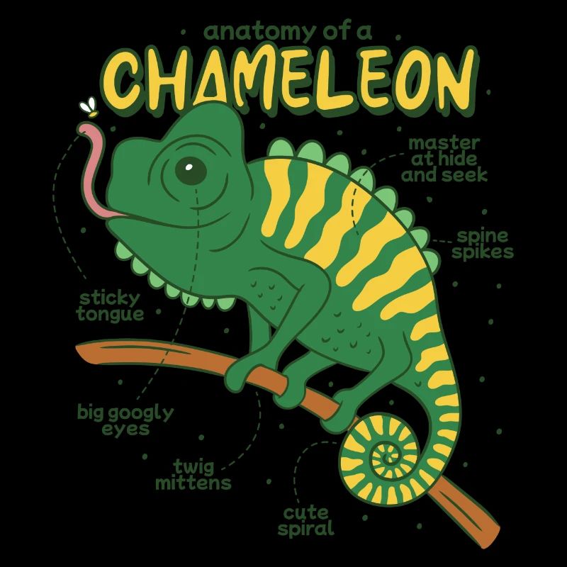 Anatomie eines Chamäleons