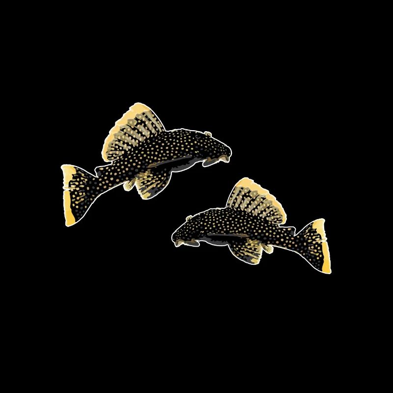 Fish Baryancistrus Xanthellus Fisher Geschenk