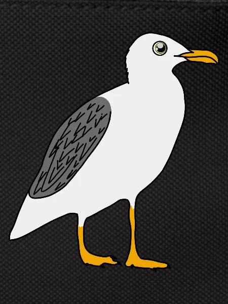 Gull