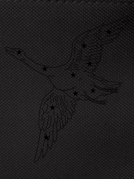 Constellation