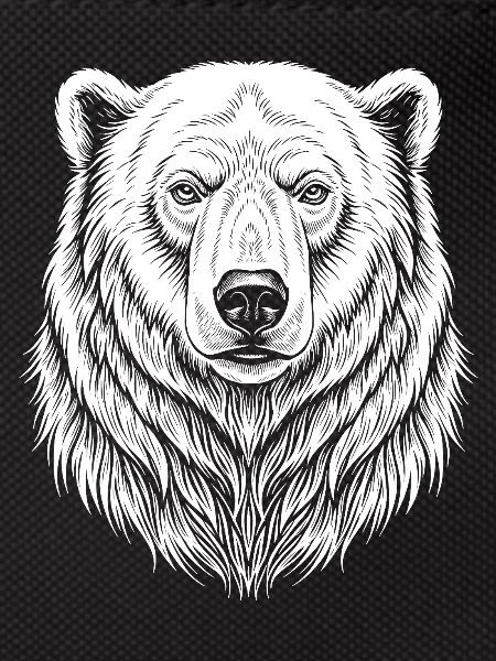 Bear Line Drawing